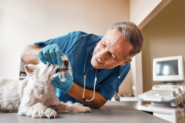 Best Emergency Dental Surgery in Muskegon Heights, MI